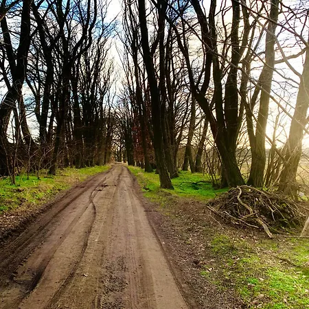 Semesterbostad Wohlfuehl Oase Mit Sauna Vor Den Toren Berlins