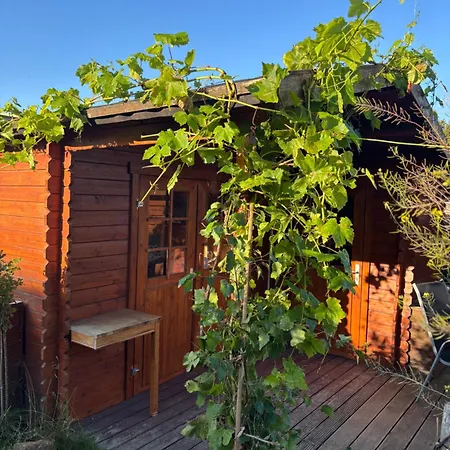 Wohlfuehl Oase Mit Sauna Vor Den Toren Berlins 別荘