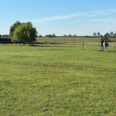 Wohlfuehl Oase Mit Sauna Vor Den Toren Berlins ناون