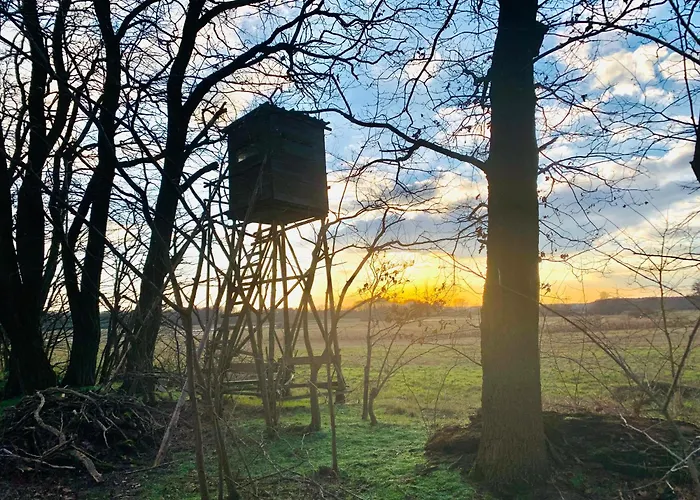 Wohlfuehl Oase Mit Sauna Vor Den Toren Berlins ناون