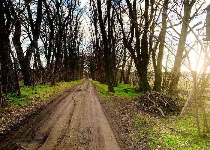 بيت للعطل Wohlfuehl Oase Mit Sauna Vor Den Toren Berlins