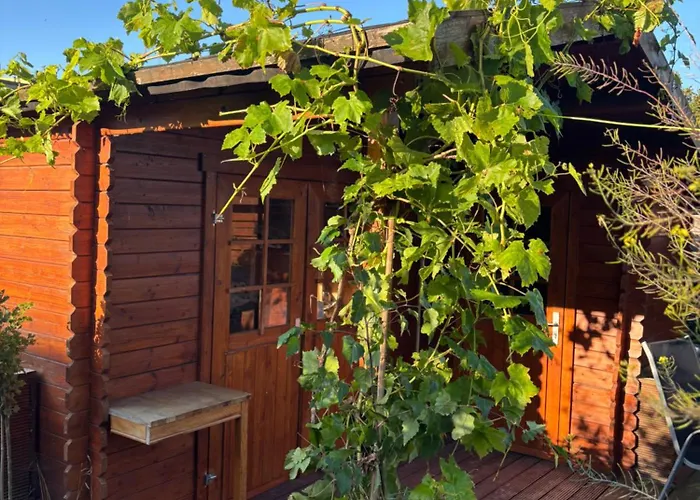 Wohlfuehl Oase Mit Sauna Vor Den Toren Berlins بيت للعطل