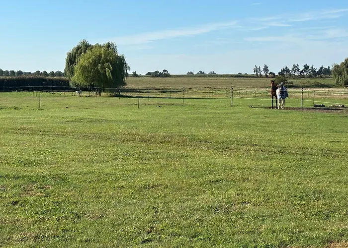 Wohlfuehl Oase Mit Sauna Vor Den Toren Berlins ناون
